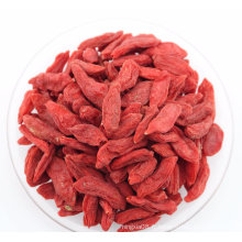 Fruit de perte de poids - Ningxia Wolfberry (baies de Goji)